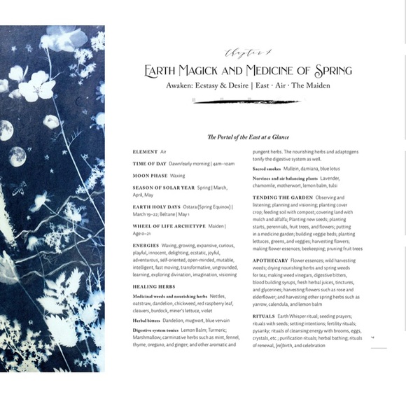 📚The Witches Herbal Apothecary📚 - Picture 4 of 5